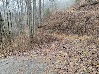 Tr 17B Forest Run Rd, Whittier, NC 28789