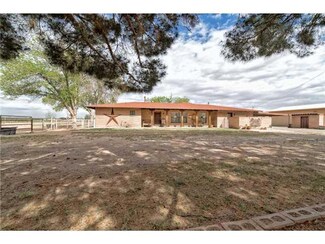 14400 N Loop Dr, Clint, TX 79836