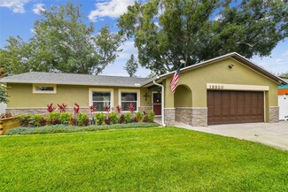 13920 Cherry Dale Ln, Tampa, FL 33618