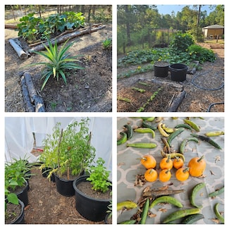 391 Deer Country Rd, Chester, TX 75936