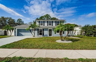 15816 Bridgewater Ln, Tampa, FL 33624