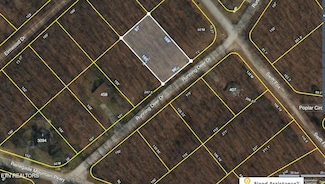 0 Running Deer Unit 1291124, Crab Orchard, TN 37723