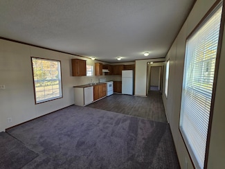 1267 Avenue A Unit 87, Springfield, MI 49037