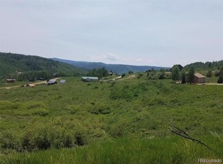 26835 Neptune Place, Clark, CO 80428