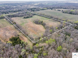 TBD1 NE 450 Rd, Osceola Township, MO 64776