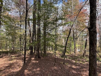 491 Tamarac Rd, Oxford, NY 13830