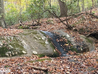 609 Ball Mountain Ln, Shipman, VA 22971