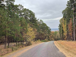 3 Lake Park Dr, Morgan Township, AR 72153