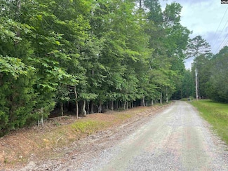 NX173 Annie Adkins Rd, Irmo, SC 29063
