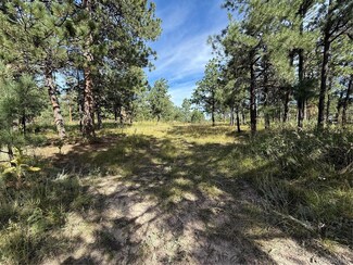17405 E Goshawk Rd, Black Forest, CO 80908