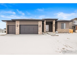 762 Canoe Birch Dr, Windsor, CO 80550
