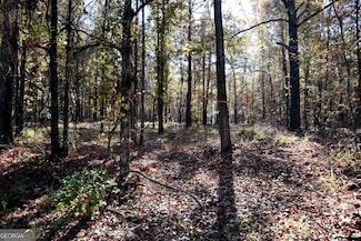 511 Jamesway Dr, Sparta, GA 31087