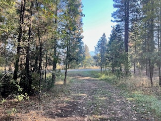 1222 Quincy La Porte, Quincy, CA 95971