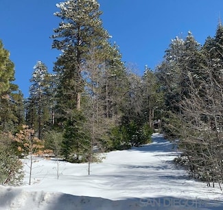 0 Unit 7, Pine Cove Idyllwild, CA 92549