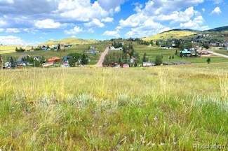 123 Whalen Ave, Cripple Creek, CO 80813