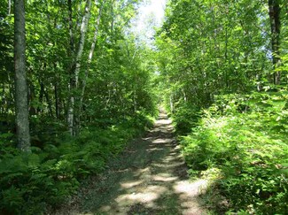 Lot 1 Off Beach Hill Rd, Warren, NH 03279