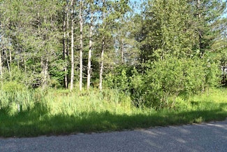 Lot 2 Knights Way, Butman Township, MI 48624