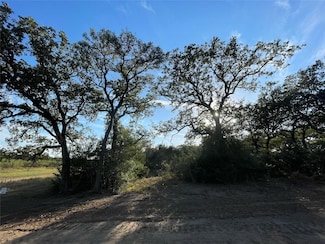 TBD Medina St, Cedar Creek, TX 78612