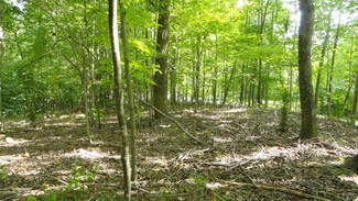 1221 Narrows Ln, Lynchburg, VA 24503