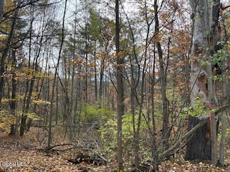 954A State Highway 9n, Au Sable, NY 12912