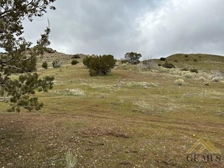 0 48601012 Unit 202403162, Mountain Mesa, CA 93240