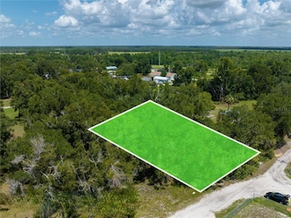 0 Tangerine St, Bowling Green, FL 33834