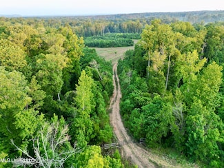 0 Dentville Rd Unit 4118373, Hazlehurst, MS 39083