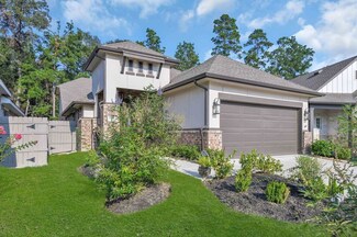 17455 Vino Vines Ln, Woodloch, TX 77302