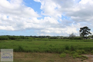 0 Jerico Marsh Rd Unit 160926, Midway, GA 31320