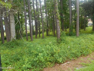 6491 Walden Pond Ln, Southport, NC 28461