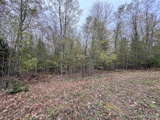 TBD Harborview Lot 14 Dr, Munising, MI 49862