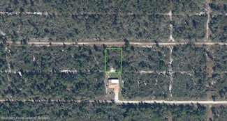 521 Scaup Ave, Sebring, FL 33872