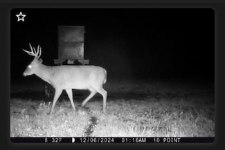 241 Mail Route Rd, Columbia, MS 39429