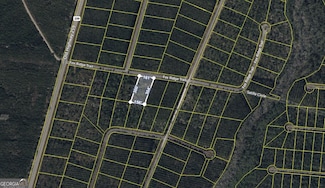 V/L 43 Fox Ridge, Waynesville, GA 31566