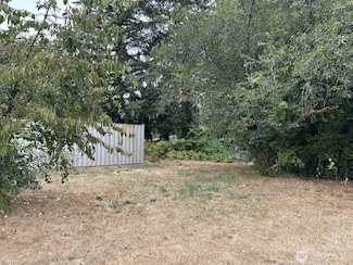 0 Pioneer Ave NE, Castle Rock, WA 98611