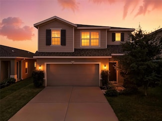 10662 Hawks Landing Dr, Land O Lakes, FL 34638
