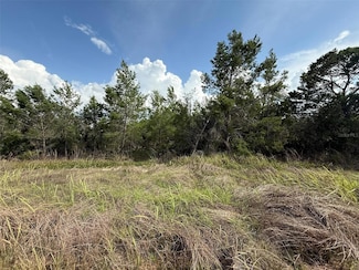 2921 W Seville Dr, Avon Park, FL 33825