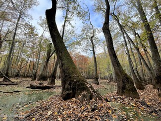0 County Road 515, Schlater, MS 38952