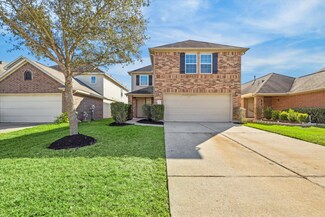 2111 Tandy Park Way, Houston, TX 77047