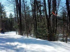 0 Blackberry Ln Unit 1377546, Rumford, ME 04276