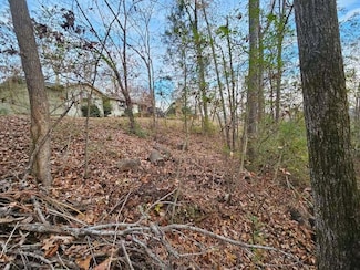 Lot 25 Countryside Dr, Evensville, TN 37332