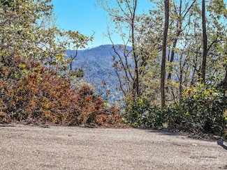 Lots 2, 135 and Pt 1 High Bluff Dr, Weaverville, NC 28787