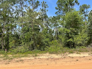 0 Holly Springs Ave Unit MFROK225372, Alford, FL 32420