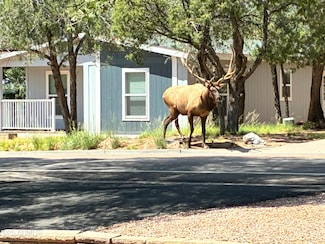 604 E Bonita St, Payson, AZ 85541