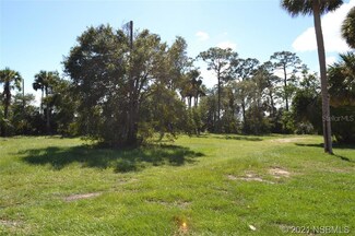 206 S Ridgewood Ave, Edgewater, FL 32132