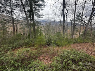 0000 Memorial Hwy, Lake Lure, NC 28746