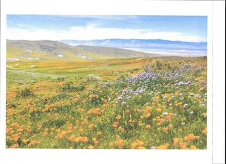 0 Cooperstown Rd Unit NS25161115, California Valley, CA 93453