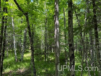 TBD First Crossing Rd, Florence, WI 54121