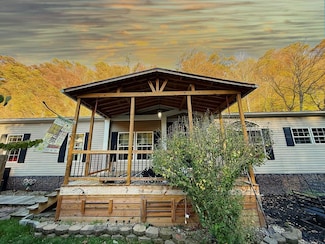 1254 County Highway 12 1, Wyco, WV 25943