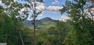 LT17 Mill Ridge Rd, Hiawassee, GA 30546